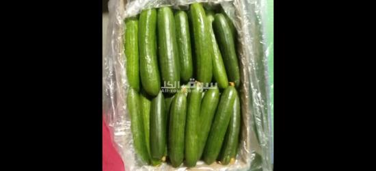 الفواكه الجافه و الطازجه ارخص سعر و اعلي جودة توصيل لكل انحإ العراق - 2