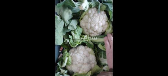 الفواكه الجافه و الطازجه ارخص سعر و اعلي جودة توصيل لكل انحإ العراق - 11