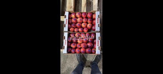 الفواكه الجافه و الطازجه ارخص سعر و اعلي جودة توصيل لكل انحإ العراق - 19