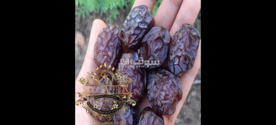 Wholesale DATE'S With the Best Quality and Price Without Intermediaries From Iran per 100 Kgr - 4