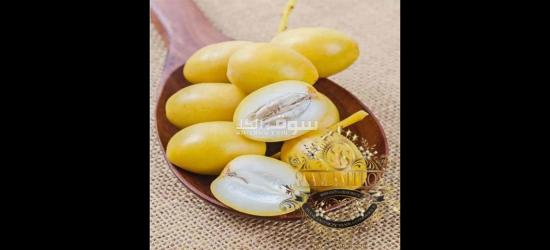 Wholesale DATE'S With the Best Quality and Price Without Intermediaries From Iran per 100 Kgr - 19